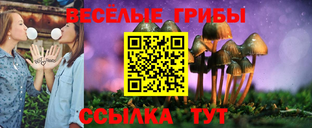 Галлюциногенные грибы Psilocybine cubensis  Вход с VPN  Галлюциногенные грибы MAGIC MUSHROOMS  Среднеуральск 